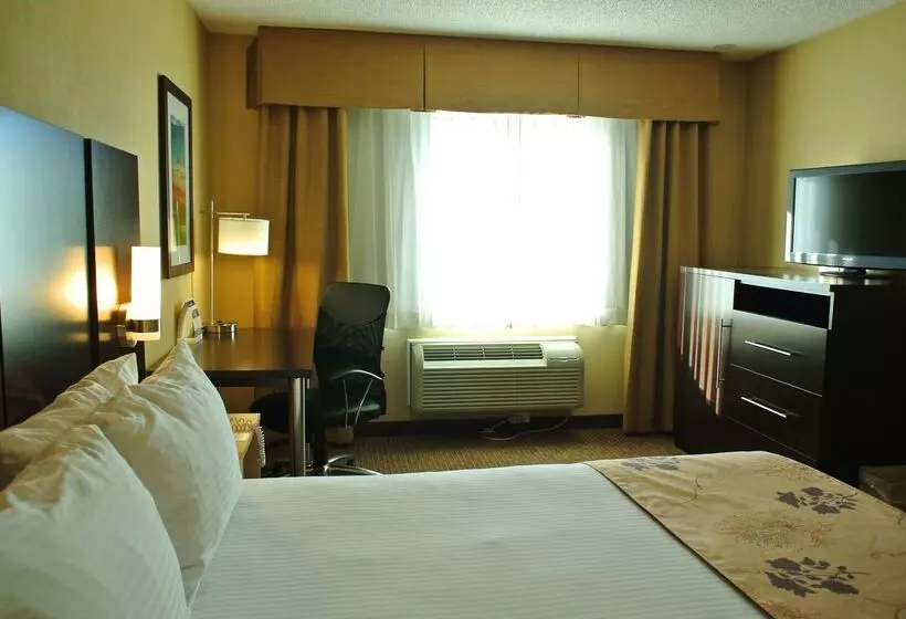 Fotos del hotel Best Western Seattle Airport:  13