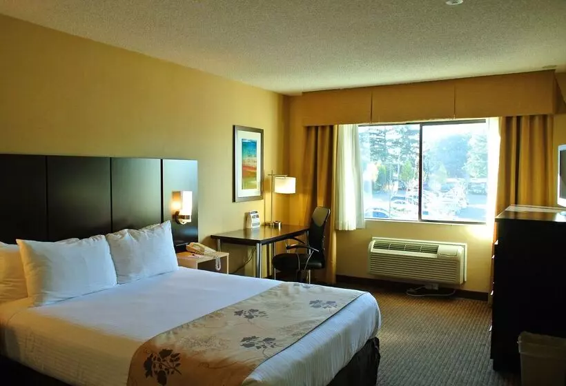Fotos del hotel Best Western Seattle Airport:  17