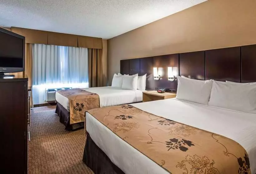 Fotos del hotel Best Western Seattle Airport:  22