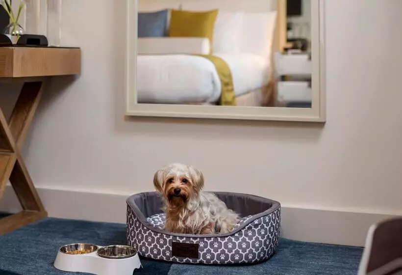 Fotos del hotel Iberostar 70 Park Avenue:  25