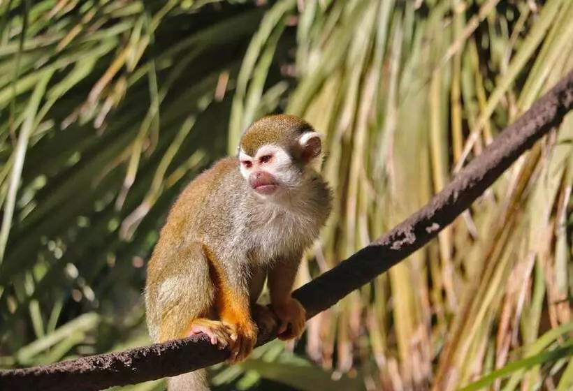 Fotos del hotel Crowne Plaza Phoenix Airport, An Ihg:  5