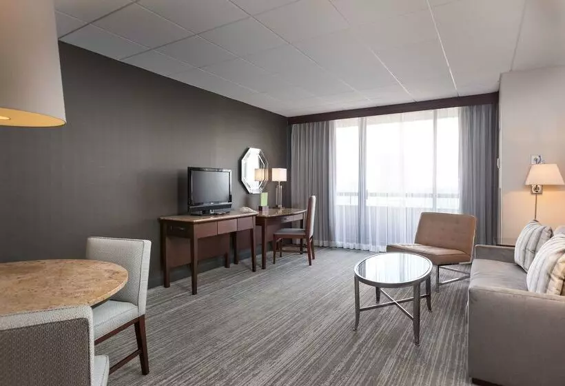 Fotos del hotel Doubletree By Hilton Hotel & Suites Houston By The Galleria:  19