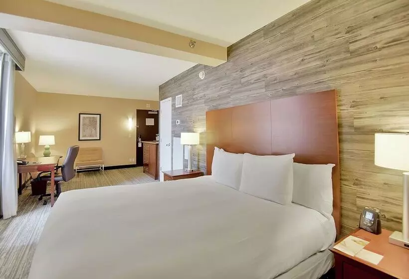 Fotos del hotel Doubletree By Hilton Hotel & Suites Houston By The Galleria:  21