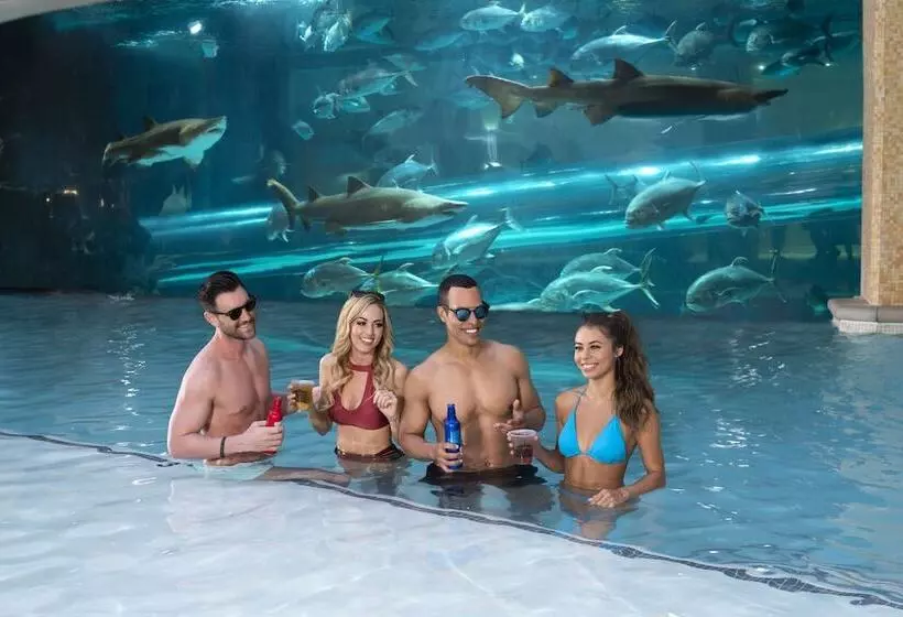 Fotos del hotel Golden Nugget Hotel & Casino Las Vegas:  6