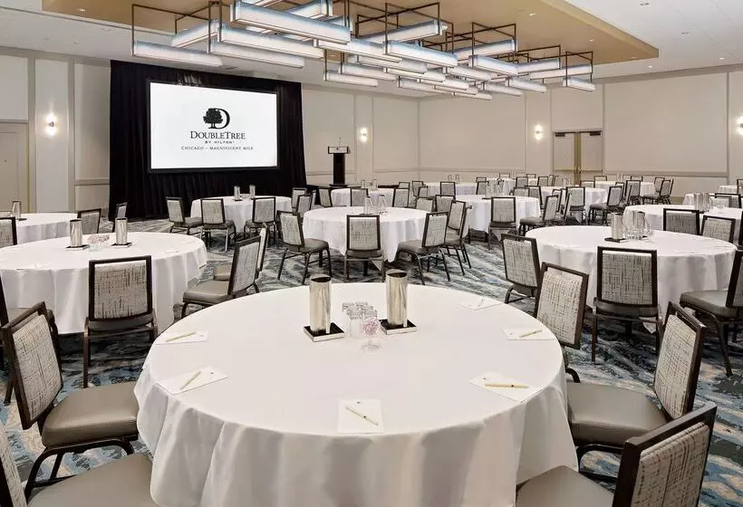Fotos del hotel Doubletree By Hilton Chicago Magnificent Mile:  7