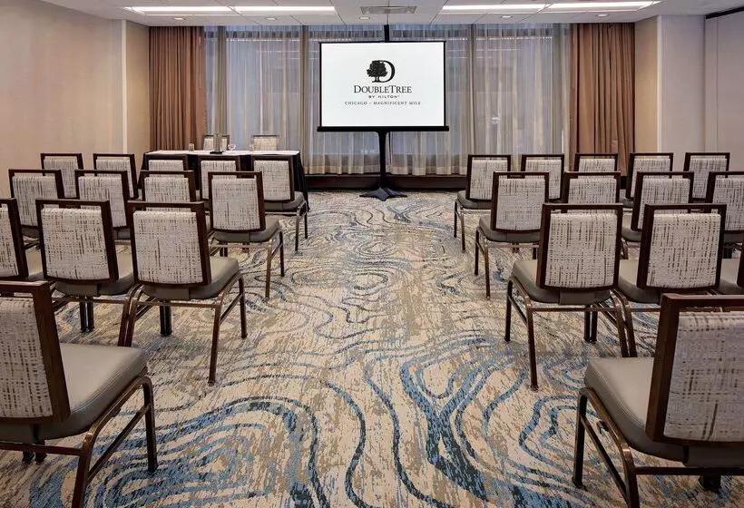 Fotos del hotel Doubletree By Hilton Chicago Magnificent Mile:  15
