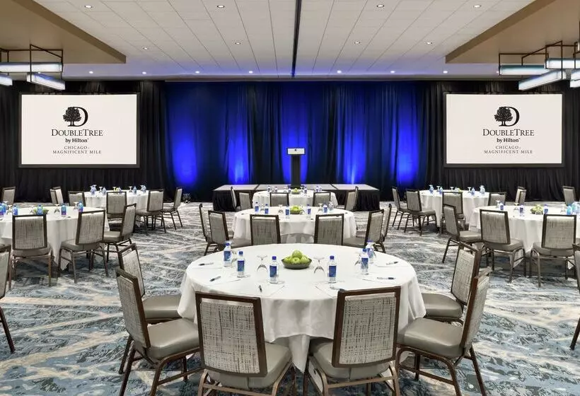 Fotos del hotel Doubletree By Hilton Chicago Magnificent Mile:  9