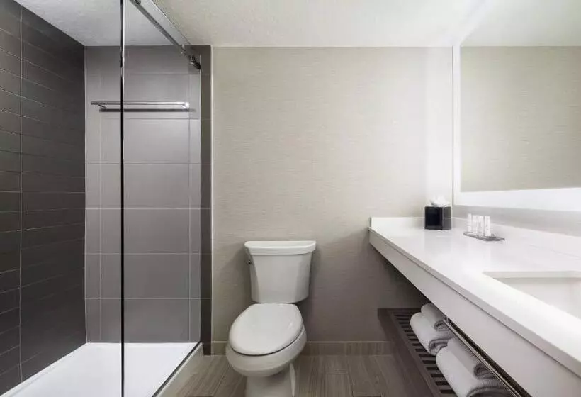 Fotos del hotel Houston Marriott South At Hobby Airport:  16