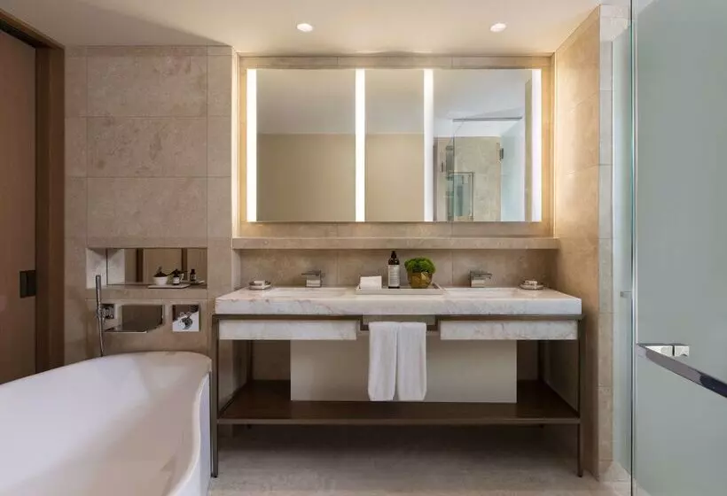 Fotos del hotel Park Hyatt Chicago:  17