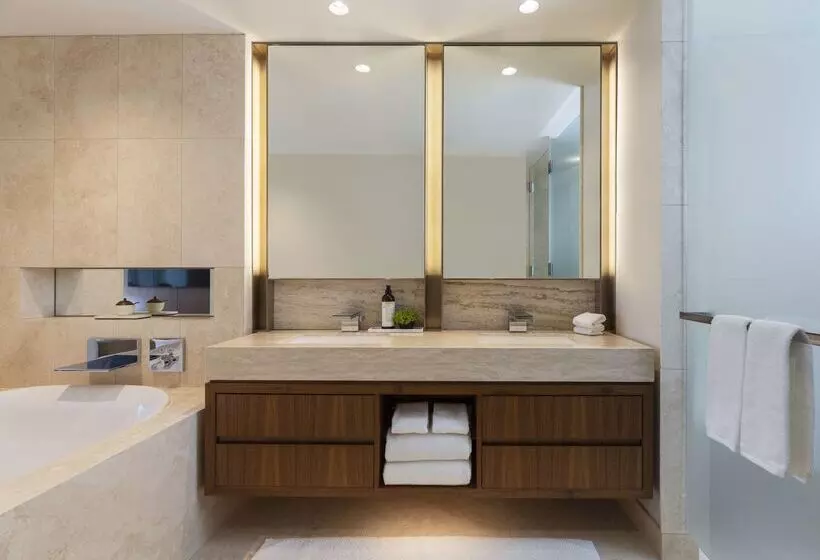 Fotos del hotel Park Hyatt Chicago:  15