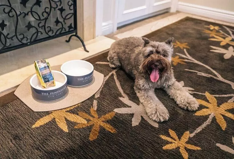 Fotos del hotel The Peninsula New York:  17