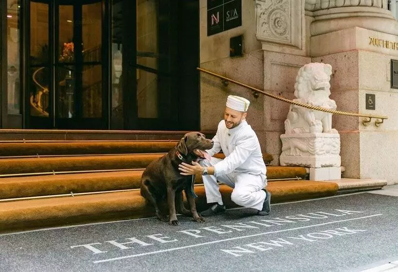 Fotos del hotel The Peninsula New York:  10