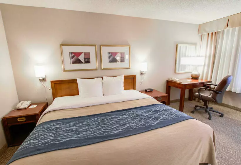 Fotos del hotel Comfort Inn Phoenix North:  23