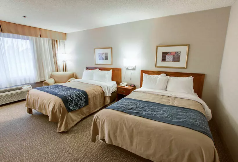 Fotos del hotel Comfort Inn Phoenix North:  17