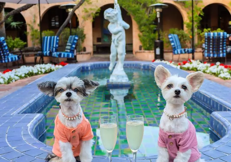 Fotos del hotel Royal Palms Resort And Spa, Part Of Hyatt:  3