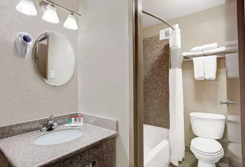 Fotos del hotel Ramada By Wyndham Houston Intercontinental Airport South:  19