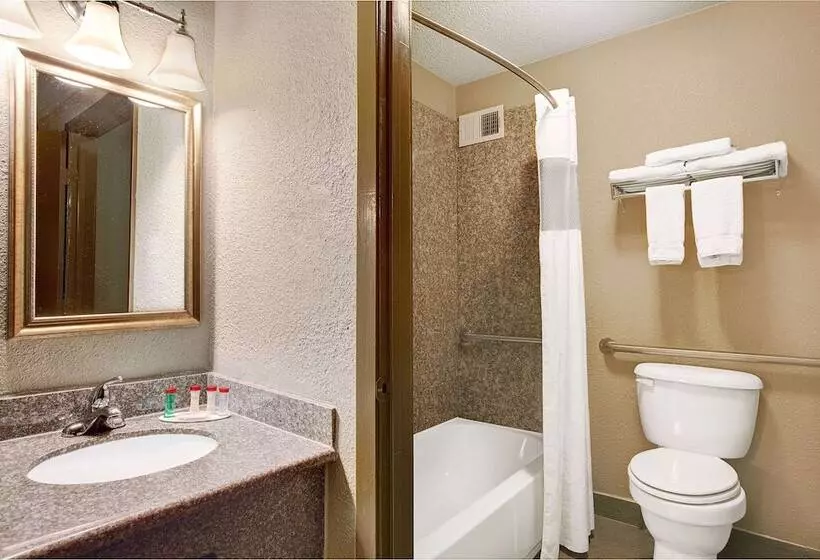 Fotos del hotel Ramada By Wyndham Houston Intercontinental Airport South:  5