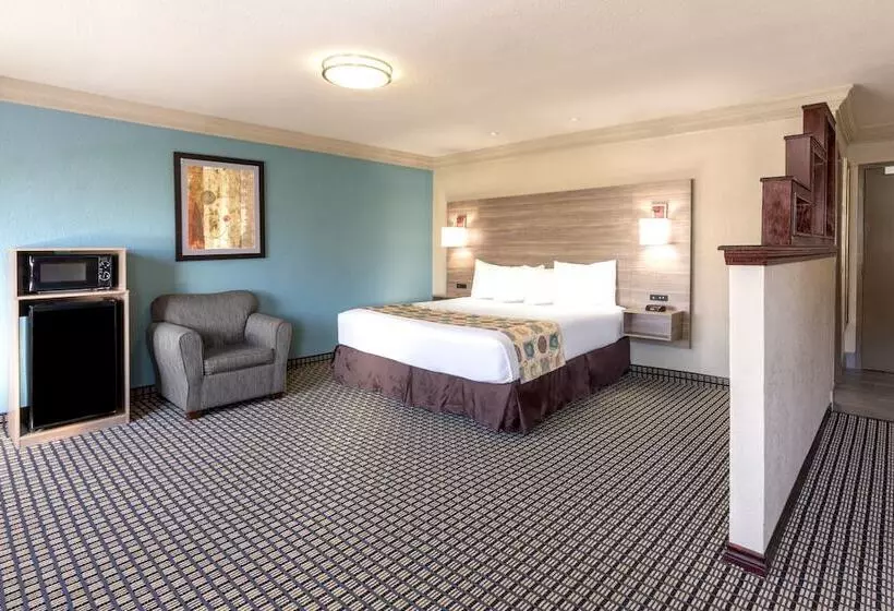 Ramada By Wyndham Houston Intercontinental Airport South