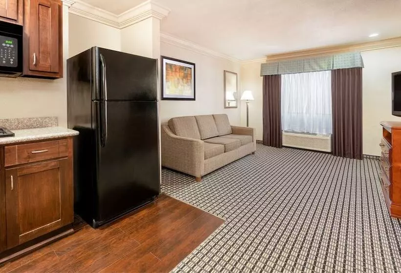 Fotos del hotel Ramada By Wyndham Houston Intercontinental Airport South:  25
