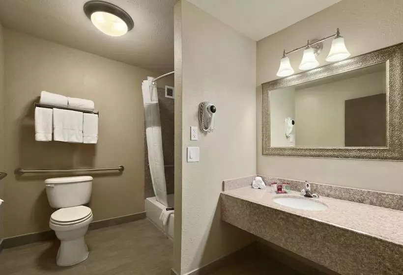 Fotos del hotel Ramada By Wyndham Houston Intercontinental Airport South:  13