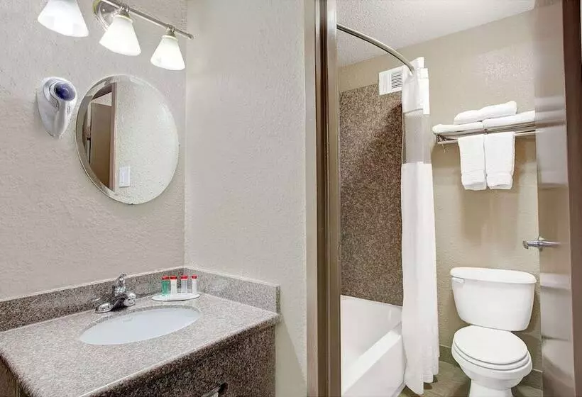 Fotos del hotel Ramada By Wyndham Houston Intercontinental Airport South:  10