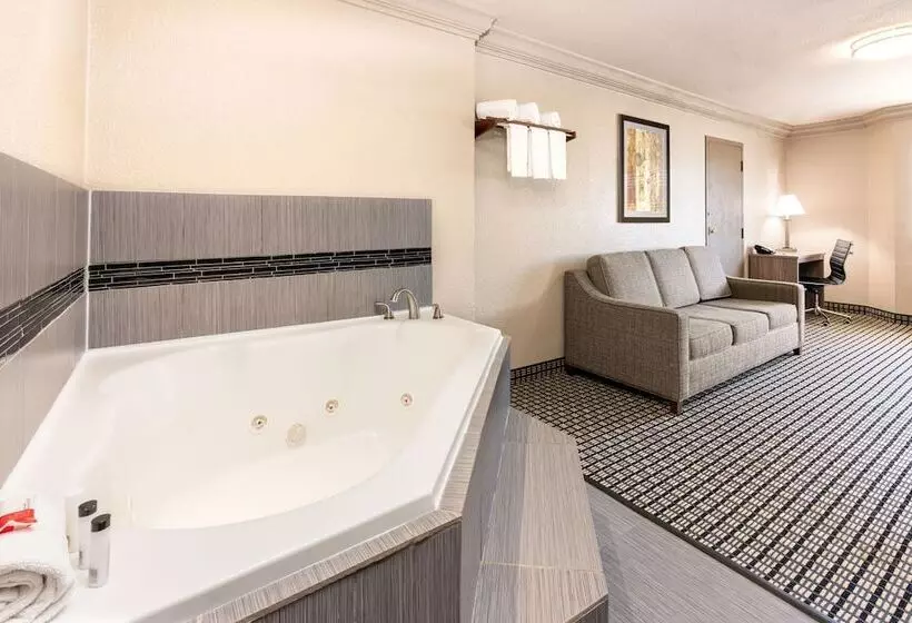 Fotos del hotel Ramada By Wyndham Houston Intercontinental Airport South:  15