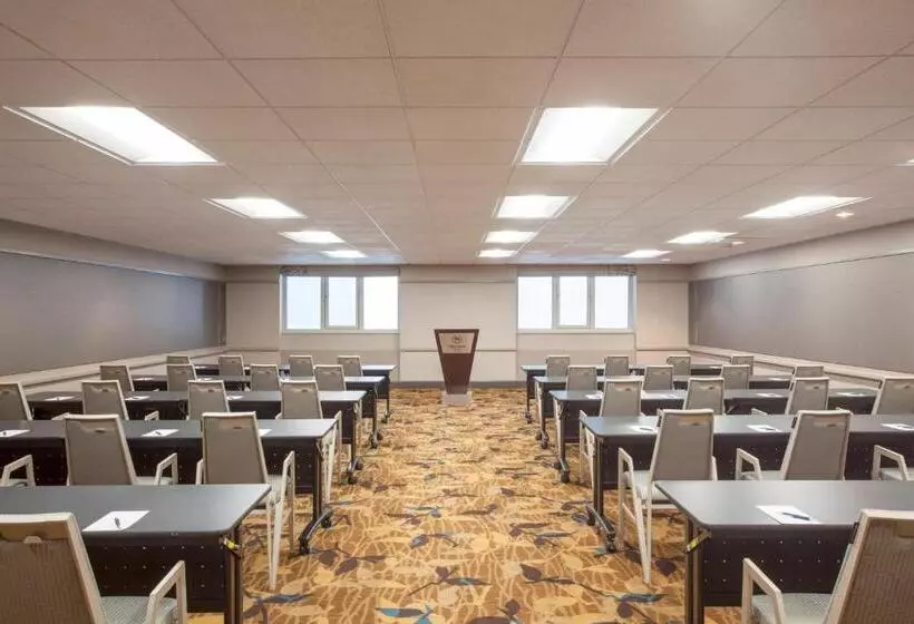 Fotos del hotel Sheraton Boston Hotel:  19