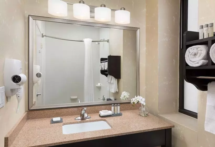 Fotos del hotel The Hotel At Fifth Avenue:  13