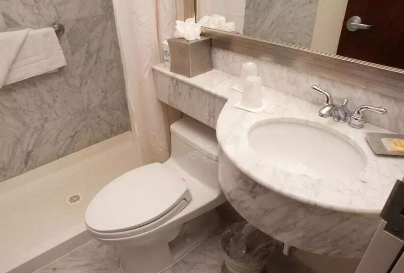 Fotos del hotel The Hotel At Fifth Avenue:  6