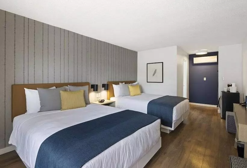 Fotos del hotel Sea Harbor Hotel - San Diego:  6