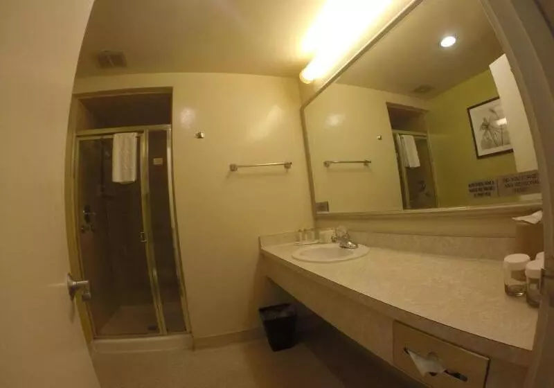 Fotos del hotel The Wharf Inn:  5