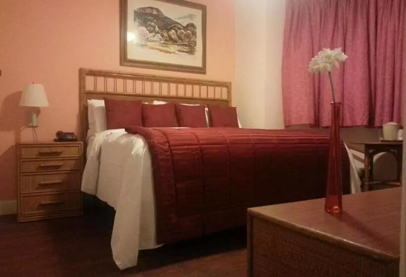 Fotos del hotel Canario Boutique Hotel:  25