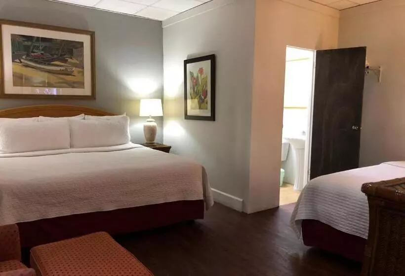 Fotos del hotel Canario Boutique Hotel:  8