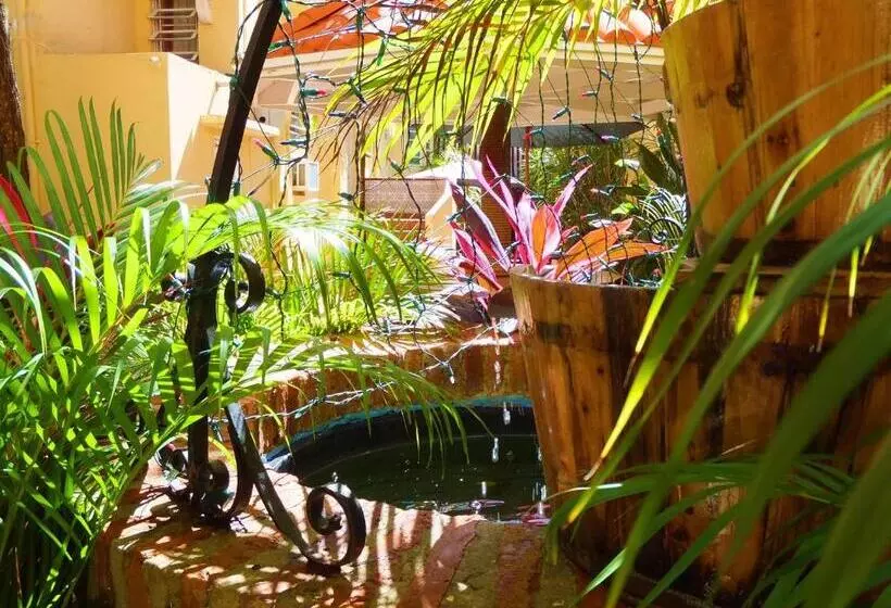 Fotos del hotel Canario Boutique Hotel:  18