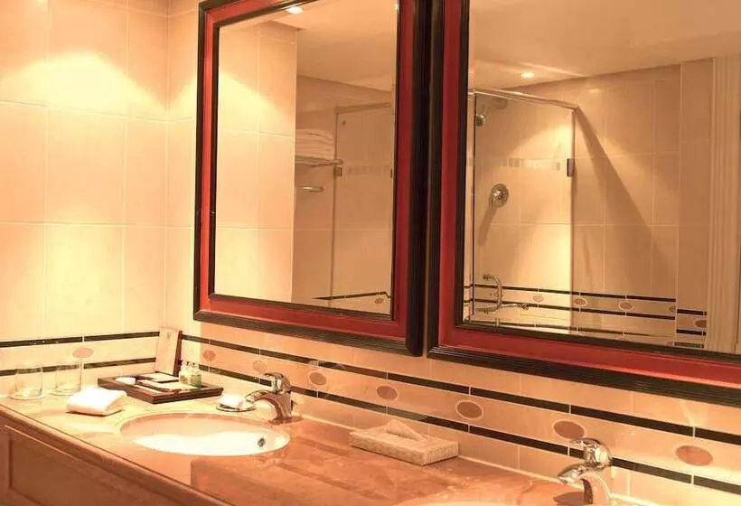 Fotos del hotel Taj Pamodzi Lusaka:  7