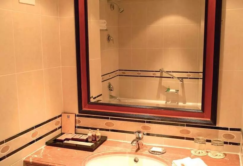 Fotos del hotel Taj Pamodzi Lusaka:  10