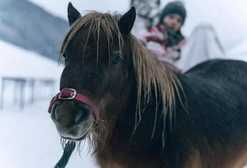 Fotos del hotel Der Kirchheimerhof - Superior:  4
