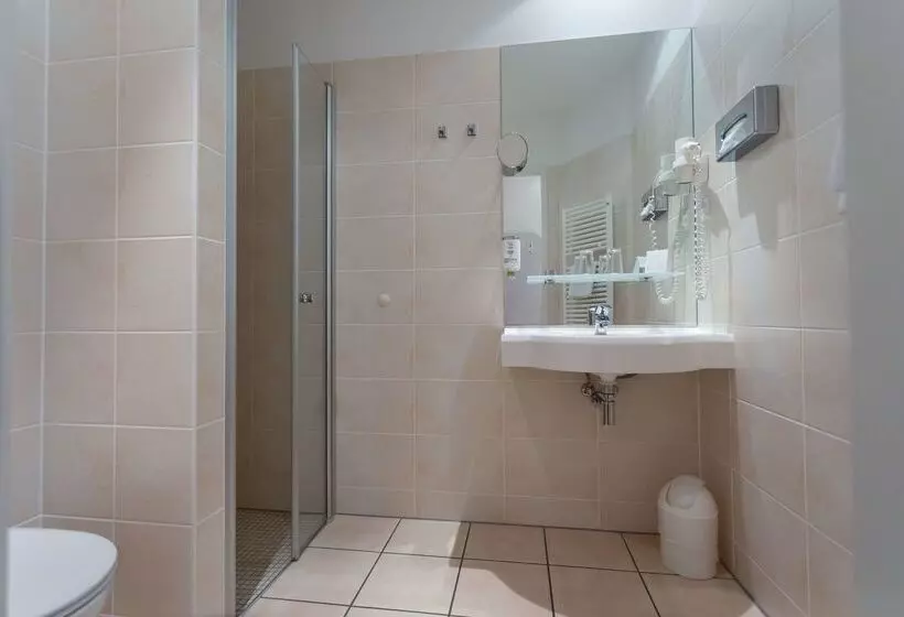 Fotos del hotel Albrechtshof:  13