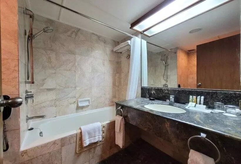 Fotos del hotel Bangkok Hotel Lotus Sukhumvit:  8