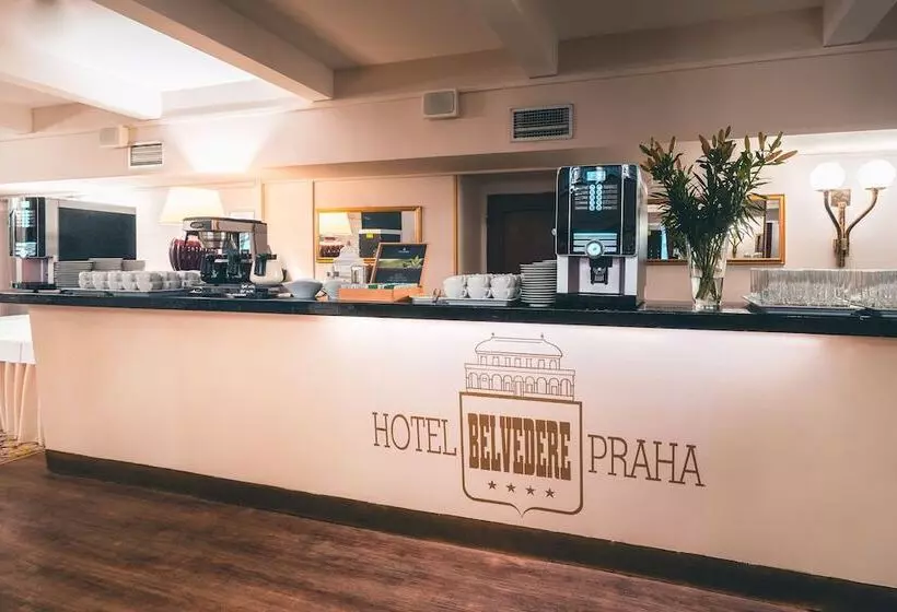 Fotos del hotel Belvedere:  7