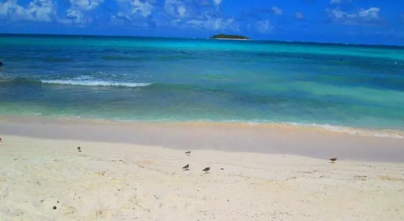 Fotos del hotel Lord Pierre:  16