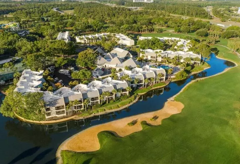 Fotos del hotel Marriott's Sabal Palms:  18