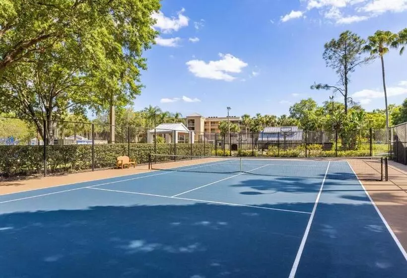 Fotos del hotel Marriott's Sabal Palms:  12