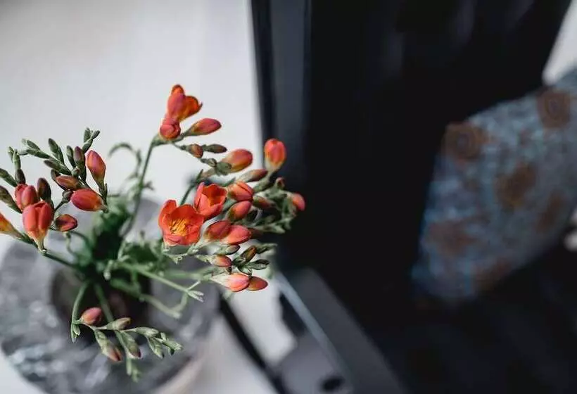 Fotos del hotel Small Luxury Hotel Altstadt Vienna:  10