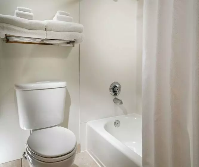 Fotos del hotel Staypineapple, University Inn, University District Seattle:  6