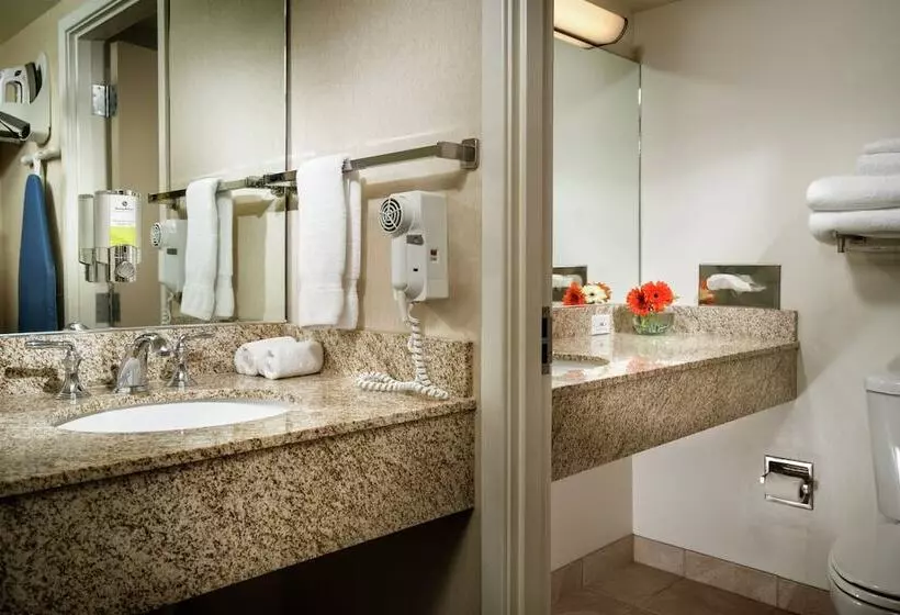 Fotos del hotel Staypineapple, University Inn, University District Seattle:  12