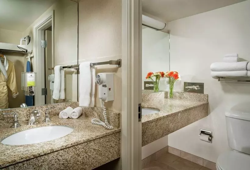 Fotos del hotel Staypineapple, University Inn, University District Seattle:  17