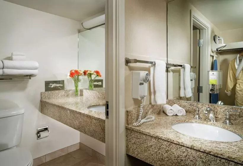 Fotos del hotel Staypineapple, University Inn, University District Seattle:  21