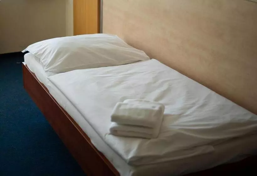 Fotos del hotel Tj Chodov:  7