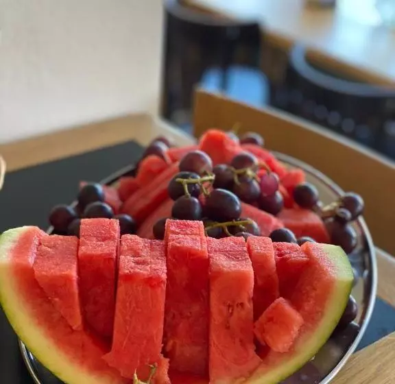 Fotos del hotel Tj Chodov:  5